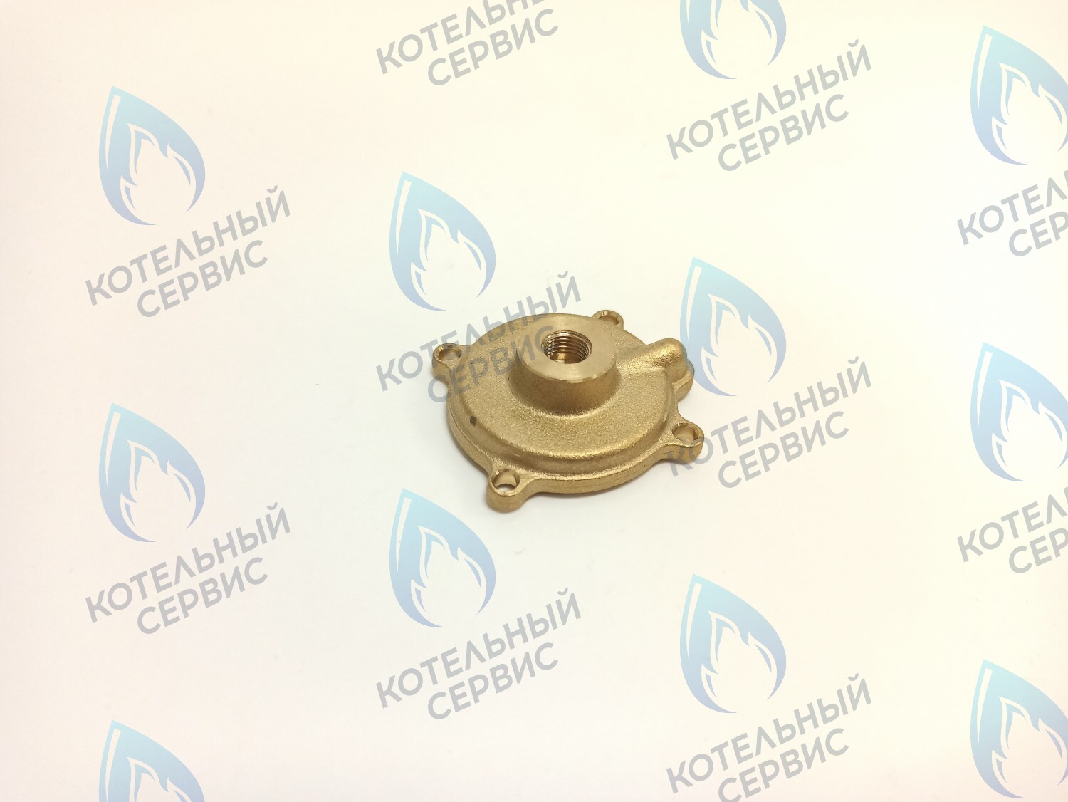 50101027 Крышка датчика протока (50101027) ELECTROLUX в Екатеринбурге	