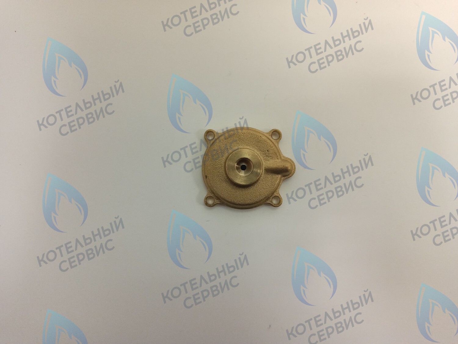 50101027 Крышка датчика протока (50101027) ELECTROLUX в Екатеринбурге	