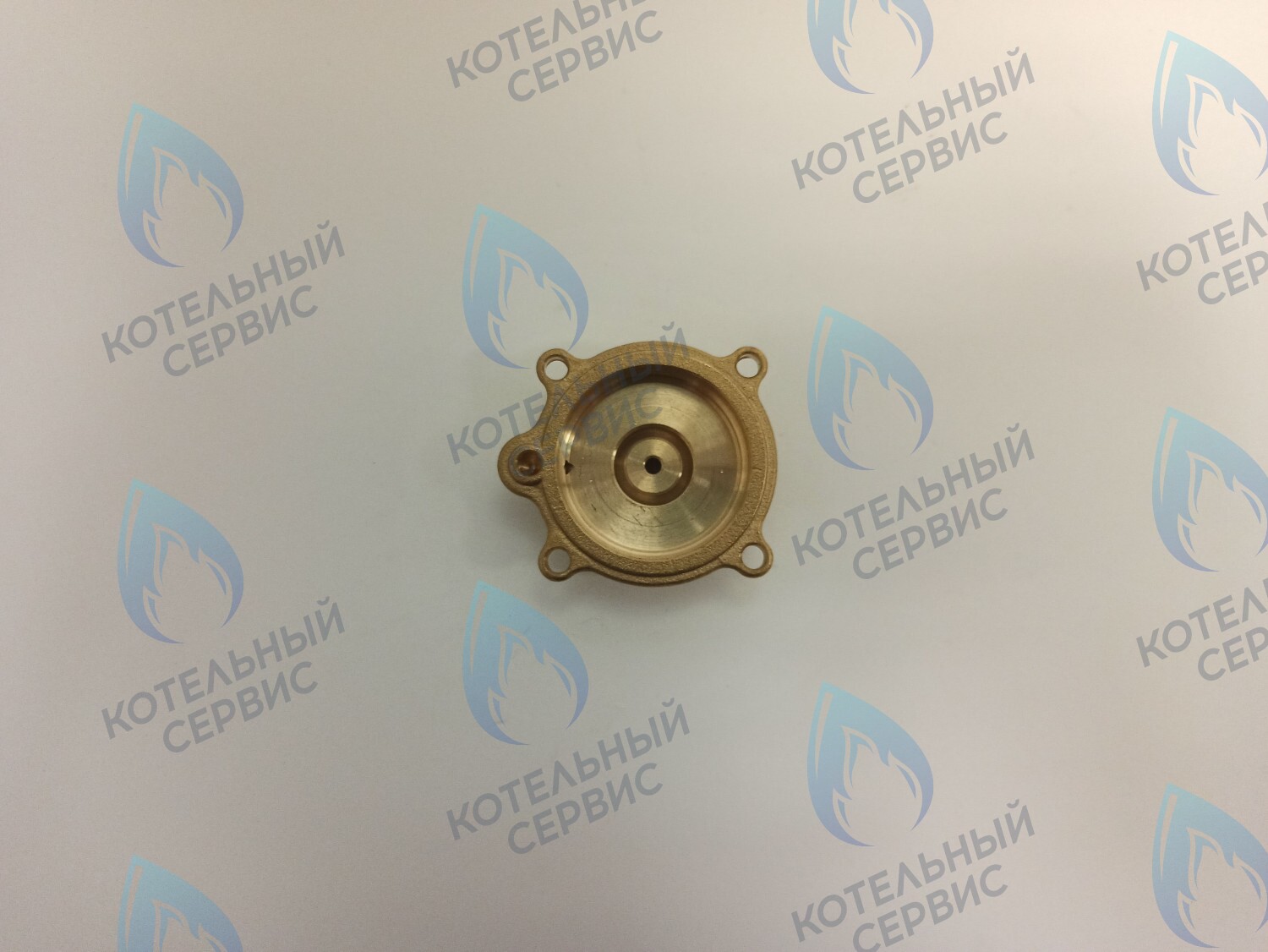 50101027 Крышка датчика протока (50101027) ELECTROLUX в Екатеринбурге	