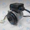 PH-W21CW60-GW105-5PIN Двигатель насоса WS15/6-2V (по часовой стрелке) PROTHERM Лев, Пантера V.18 (0020078492), Скат K13, Дельфин (0020094635), Скат V14 (0010025841) VAILLANT atmo/turboTEC 20-28 КВТ (0020213167, 0020005803), eloBLOCK (0020107584) (замена WILO VHSL15/6 HE-2, INT в Екатеринбурге	