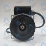 PH-W21CW60-GW105-5PIN Двигатель насоса WS15/6-2V (по часовой стрелке) PROTHERM Лев, Пантера V.18 (0020078492), Скат K13, Дельфин (0020094635), Скат V14 (0010025841) VAILLANT atmo/turboTEC 20-28 КВТ (0020213167, 0020005803), eloBLOCK (0020107584) (замена WILO VHSL15/6 HE-2, INT в Екатеринбурге	