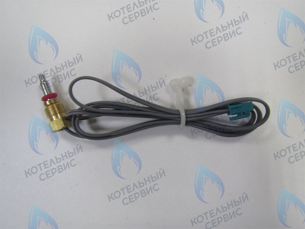 S311300016 Датчик остаточного тепла HB-880 (остаточной температуры ОВ) ELSOTHERM  Серия B в Екатеринбурге	