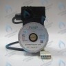 PH-W21CW70-GW140-5PIN Двигатель насоса WS15/7-2V (по часовой стрелке) VAILLANT turboTEC plus 32-36 КВТ (0020016540) (замена для WILO VPAR SL 15/7 HE-2) в Екатеринбурге	
