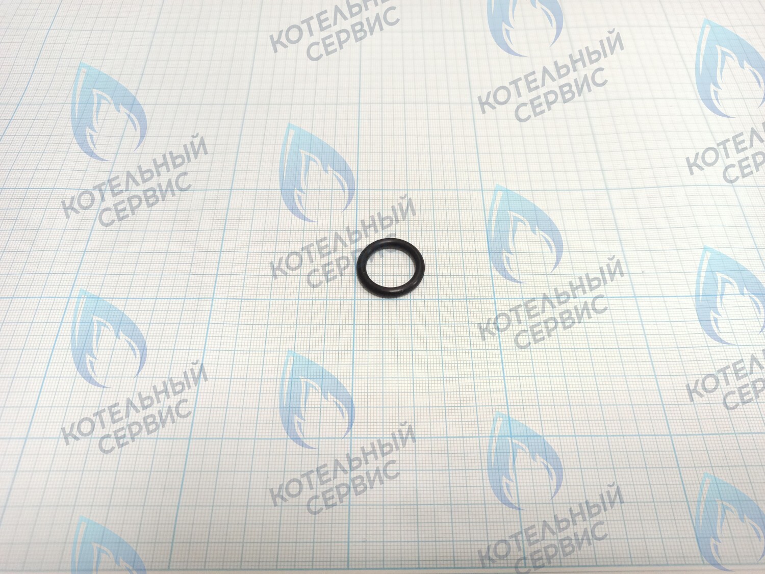TY02020049 Прокладка O-Ring 25x18x3.55 (TY02020049) ROYAL THERMO в Екатеринбурге	