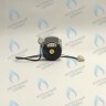 PH-W21CW50-DA84-4PIN Двигатель насоса DUCA APW 15-5.2A (2 скорости) аналог Wilo Ariston (65104319, 60000591) в Екатеринбурге	