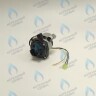 PMDS1AW50-WA82DS-Комп Насос циркуляционный 5м для MASTER GAS SEOUL 11-24 (2050118, 2050130), DAESUNG A16-24 (52050118, 52050130), ARDERIA 2.13-20, CELTIC-DS 3.13-3.20 (2050118, 2050130) в Екатеринбурге	