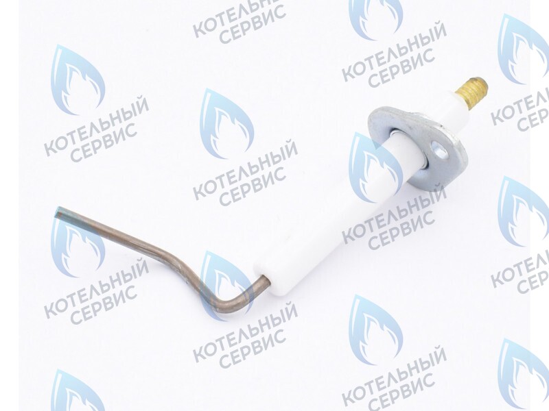 0020097415 Электрод ионизации Protherm Леопард 24 MTM-CC/1 (H-RU) в Екатеринбурге	