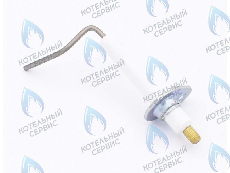 0020097415 Электрод ионизации Protherm Леопард 24 MTM-CC/1 (H-RU) в Екатеринбурге	
