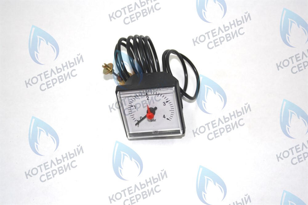 0020027570 Манометр белый Protherm PLO KLO KLZ в Екатеринбурге	
